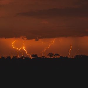 Preview wallpaper thunderstorm, lightning, trees, twilight, dark