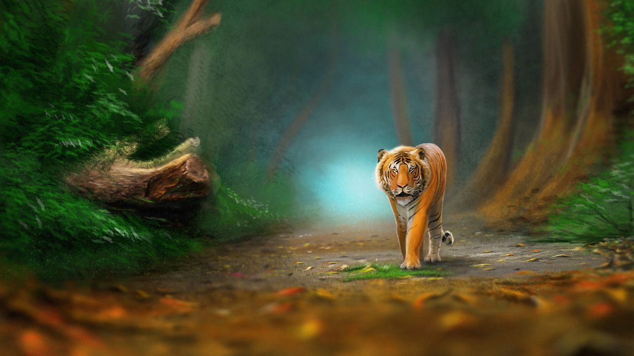 Wallpaper tiger, animal, predator, forest, wildlife, art