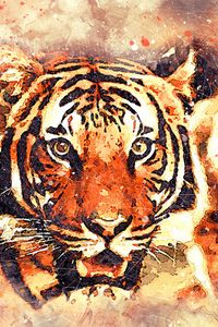 Preview wallpaper tiger, art, grin, muzzle