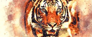 Preview wallpaper tiger, art, grin, muzzle