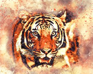 Preview wallpaper tiger, art, grin, muzzle
