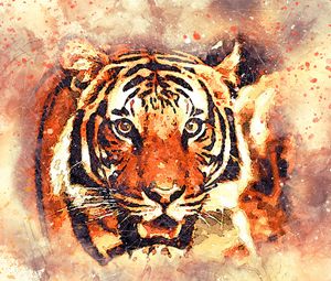 Tiger standard 4:3 wallpapers hd, desktop backgrounds 1024x768, images and  pictures