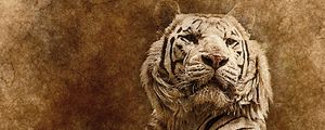 Preview wallpaper tiger, art, muzzle, predator