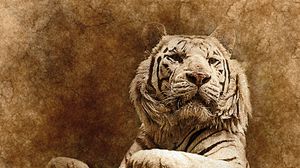 Preview wallpaper tiger, art, muzzle, predator