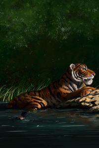 Preview wallpaper tiger, big cat, profile, predator, art