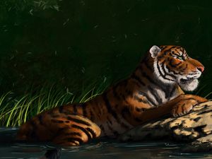 Preview wallpaper tiger, big cat, profile, predator, art