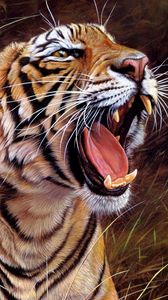 Preview wallpaper tiger, big cat, teeth, striped, anger