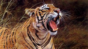 Preview wallpaper tiger, big cat, teeth, striped, anger