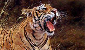 Preview wallpaper tiger, big cat, teeth, striped, anger