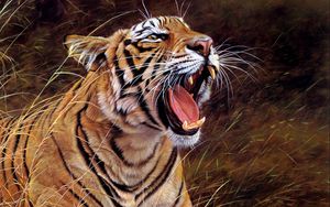 Preview wallpaper tiger, big cat, teeth, striped, anger