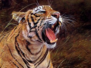 Preview wallpaper tiger, big cat, teeth, striped, anger