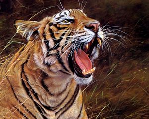 Preview wallpaper tiger, big cat, teeth, striped, anger