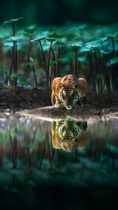 Preview wallpaper tiger, big cat, water, reflection, wildlife