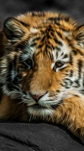 Preview wallpaper tiger, cat, predator, baby, lie down