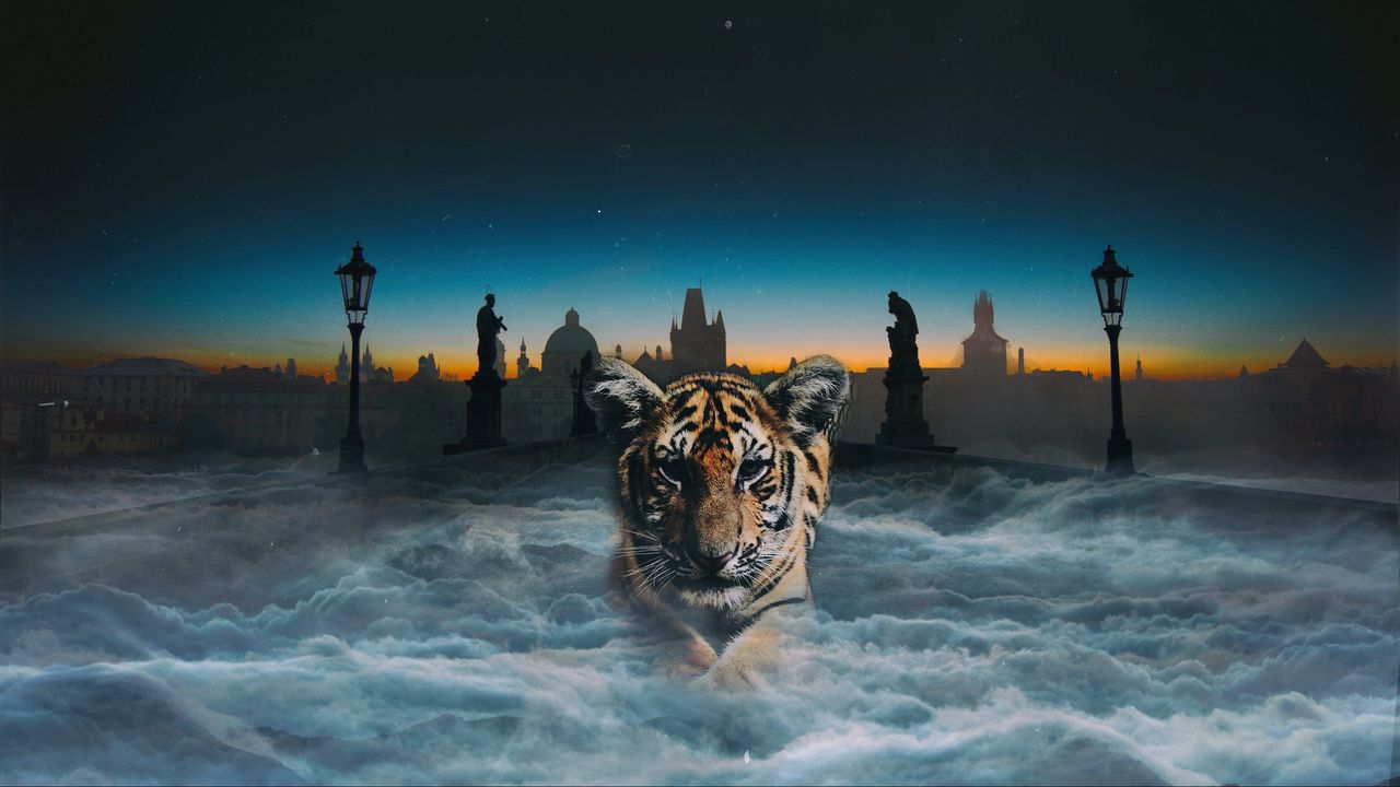 Wallpaper tiger cub, photoshop, clouds, night