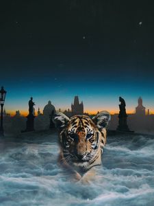 Preview wallpaper tiger cub, photoshop, clouds, night