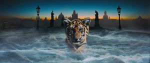 Preview wallpaper tiger cub, photoshop, clouds, night