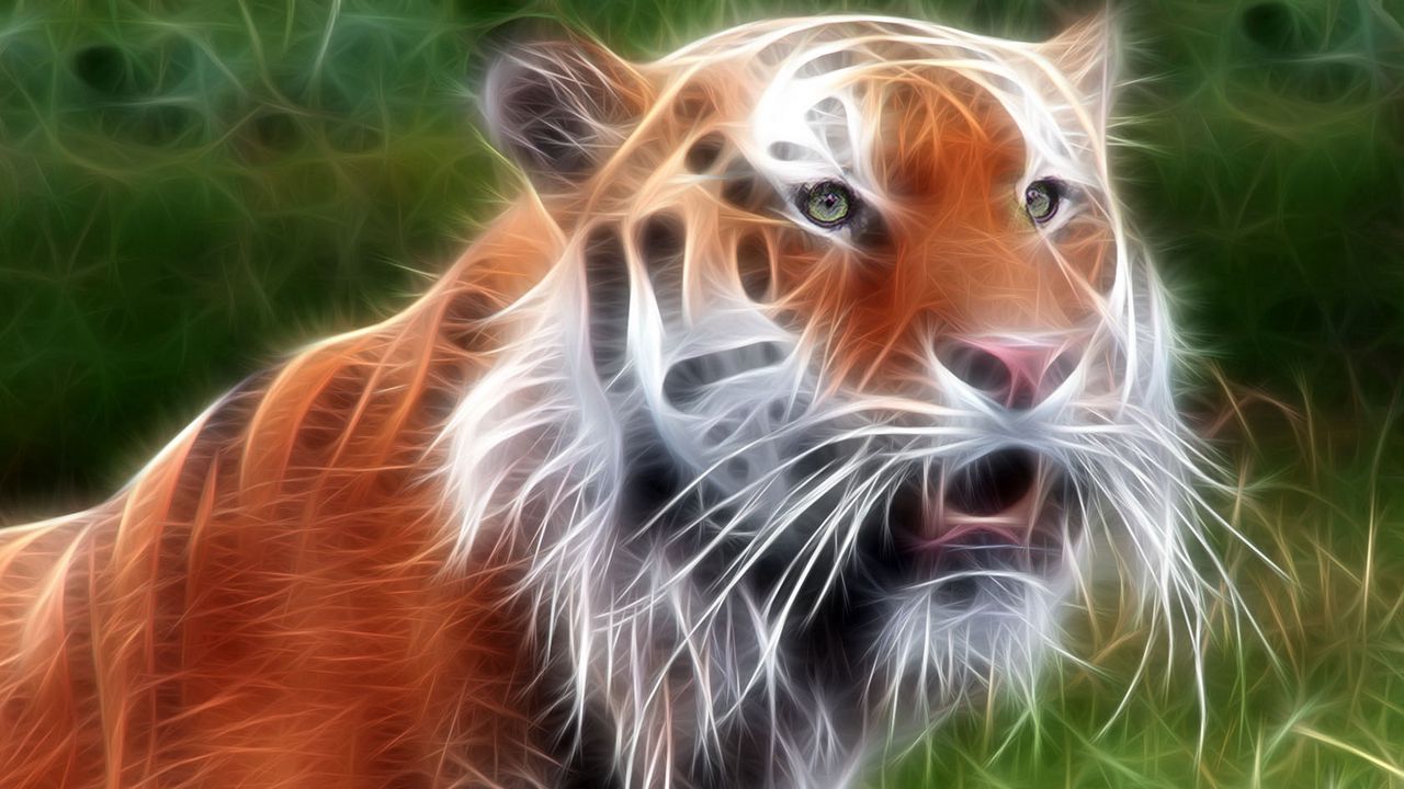 Wallpaper tiger, face, light, line, glow