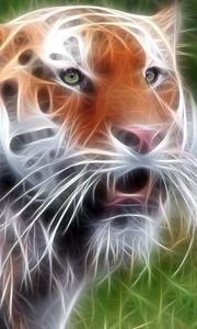 Preview wallpaper tiger, face, light, line, glow