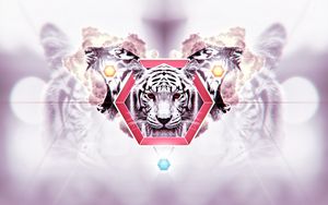 Preview wallpaper tiger, face, striped, background