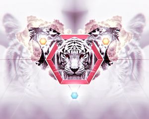 Preview wallpaper tiger, face, striped, background