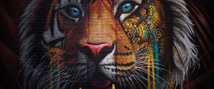 Preview wallpaper tiger, graffiti, street art, wall, colorful