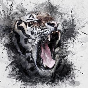 Preview wallpaper tiger, grin, art, watercolor