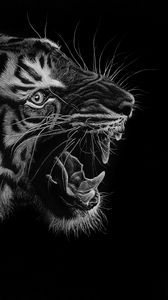 Preview wallpaper tiger, grin, art, bw, predator