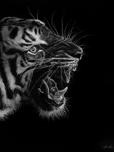 Preview wallpaper tiger, grin, art, bw, predator