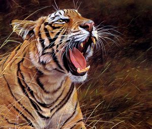 Preview wallpaper tiger, grin, big cat, aggression