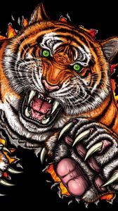 Preview wallpaper tiger, grin, jump, predator, art