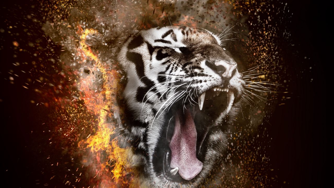 Wallpaper tiger, grin, photoshop, fire
