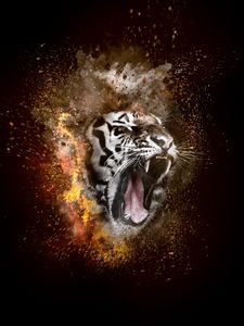 Preview wallpaper tiger, grin, photoshop, fire