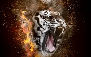 Preview wallpaper tiger, grin, photoshop, fire