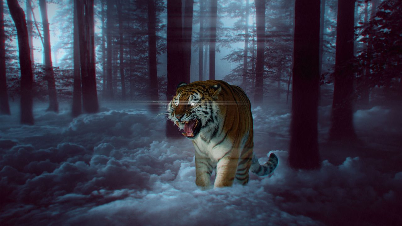 Wallpaper tiger, grin, photoshop, forest, fog