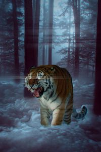 Preview wallpaper tiger, grin, photoshop, forest, fog