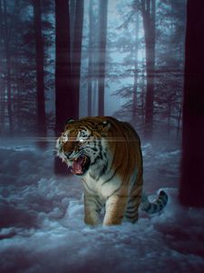 Preview wallpaper tiger, grin, photoshop, forest, fog