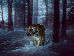 Preview wallpaper tiger, grin, photoshop, forest, fog