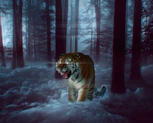 Preview wallpaper tiger, grin, photoshop, forest, fog