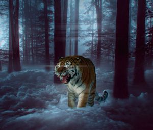 Preview wallpaper tiger, grin, photoshop, forest, fog