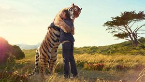Preview wallpaper tiger, guy, hugs, meeting, situation