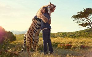 Preview wallpaper tiger, guy, hugs, meeting, situation