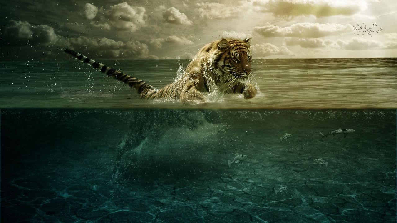 Wallpaper tiger, jump, sea, underwater, hunting
