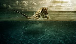 Preview wallpaper tiger, jump, sea, underwater, hunting