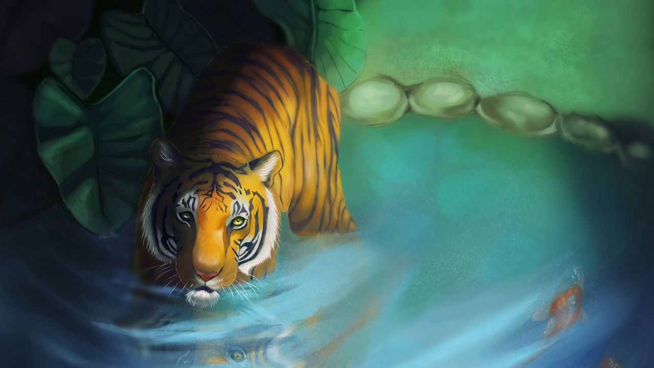 Wallpaper tiger, lake, art, glance, predator