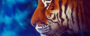 Preview wallpaper tiger, predator, big cat, art