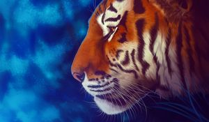 Preview wallpaper tiger, predator, big cat, art