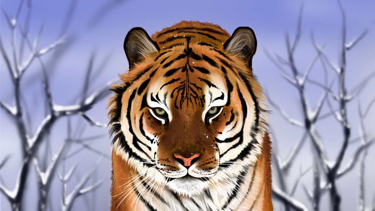 Wallpaper tiger, predator, big cat, snow, art