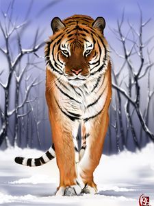 Preview wallpaper tiger, predator, big cat, snow, art