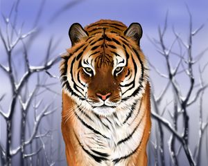 Preview wallpaper tiger, predator, big cat, snow, art